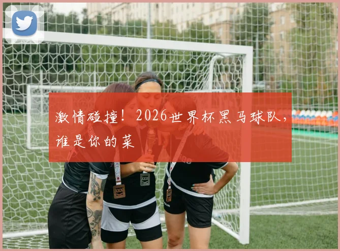 激情碰撞！2026世界杯黑马球队，谁是你的菜