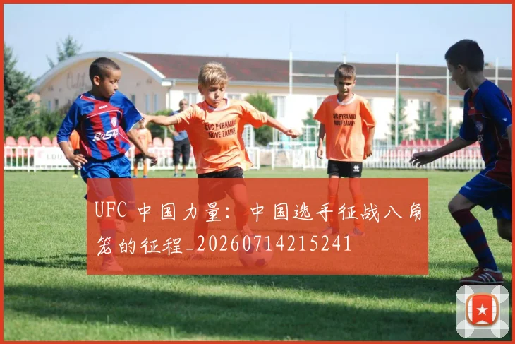 UFC 中国力量：中国选手征战八角笼的征程_20260714215241