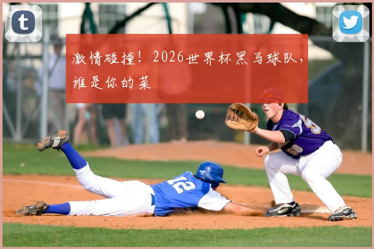 激情碰撞!2026世界杯黑马球队,谁是你的菜